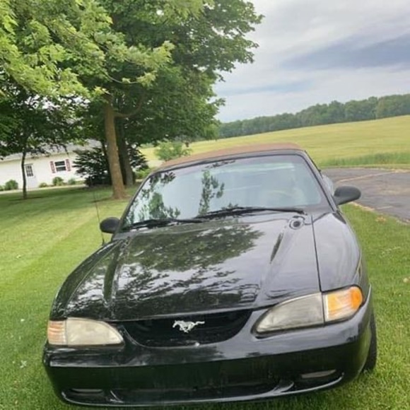 Meet your Posher, Alex - Picture 1 of 1